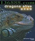 BBC Ǳ  (Dragons Alive)  [3VCD]