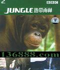 BBC ȴ  (Jungle)DVD  [2DVD]