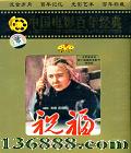 йӰ꾭 Ƭ ף ( κ)DVD  [1DVD]