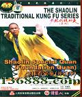 ִͳϵ ֿȭ ɽȭ (Shaolin Special Quan Foundation Quan)DVD  [1DVD]