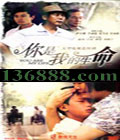 ҵ(   ¶)DVD  [14DVD]